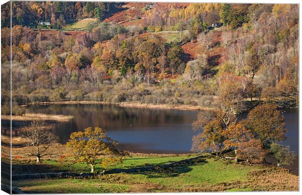 Rydal Water in Autumn Canvas Print by Ian Duffield