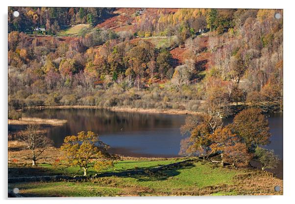 Rydal Water in Autumn Acrylic by Ian Duffield