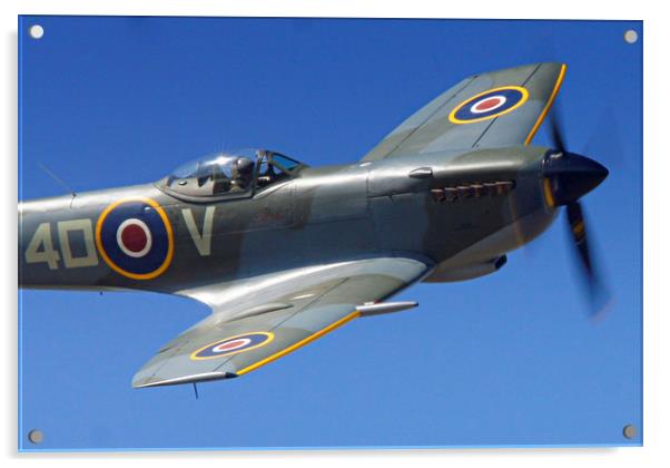 Spitfire Splendour Acrylic by Karl Butler
