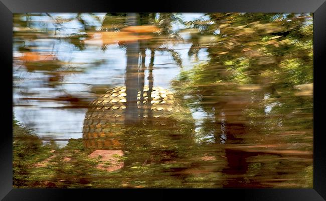 Motion Blur Matrimandir at Auroville from a mov Framed Print by Arfabita  