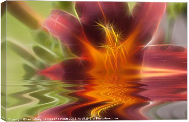 Reflective Flora Canvas Print by Ian Jeffrey