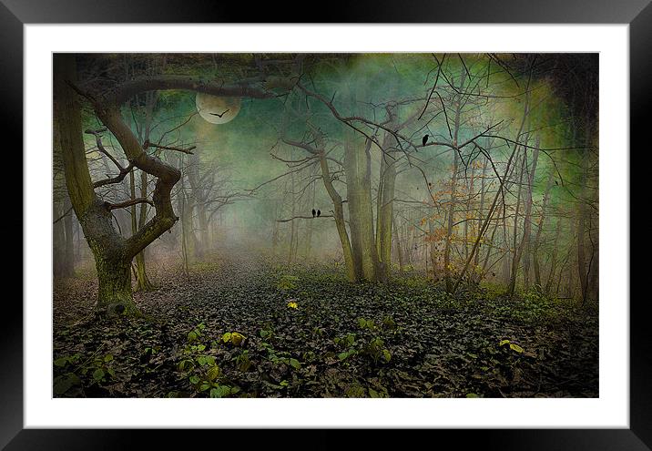 Autumns End Framed Mounted Print by nick coombs