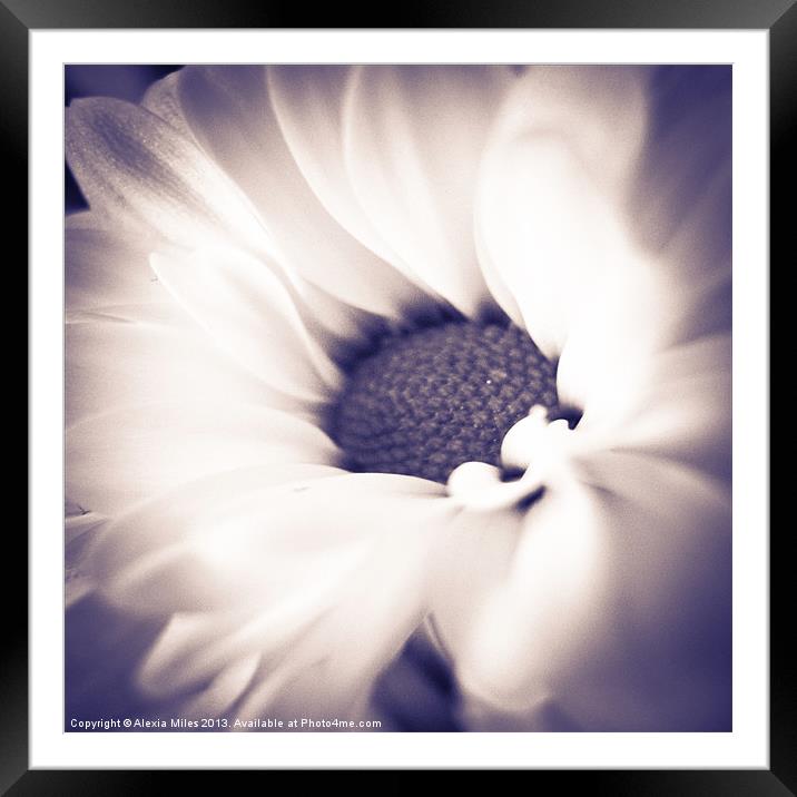 Soft touch Framed Mounted Print by Alexia Miles