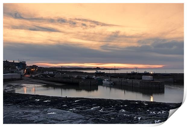 Seahouses Print by Northeast Images