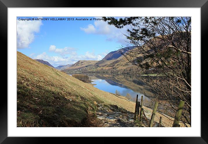 BUTTERMERE FROM SCARTH GAP Framed Mounted Print by Anthony Kellaway