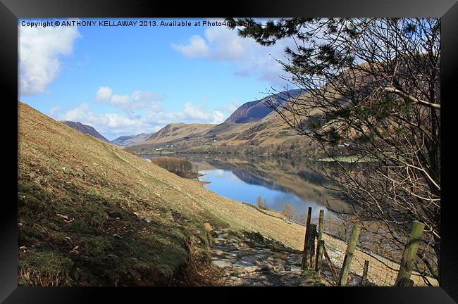 BUTTERMERE FROM SCARTH GAP Framed Print by Anthony Kellaway
