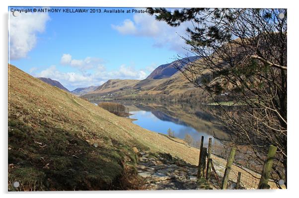 BUTTERMERE FROM SCARTH GAP Acrylic by Anthony Kellaway