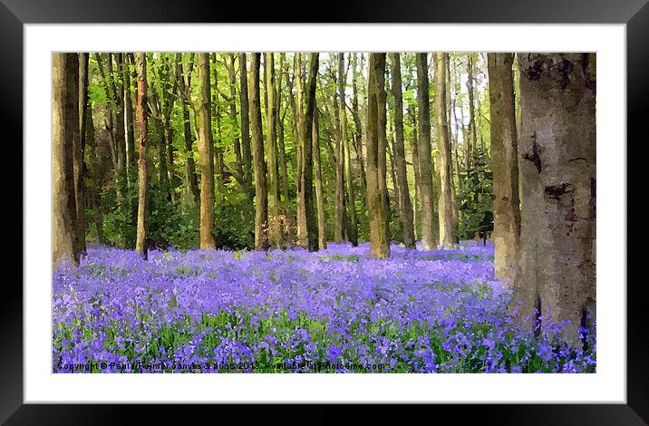 Bluebell wood in texture Framed Mounted Print by Paula Palmer canvas