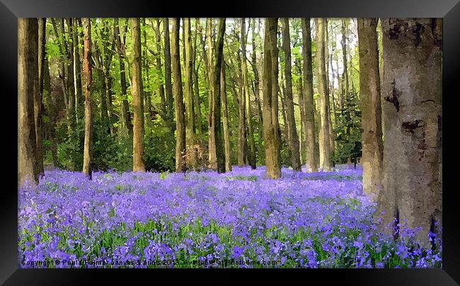 Bluebell wood in texture Framed Print by Paula Palmer canvas