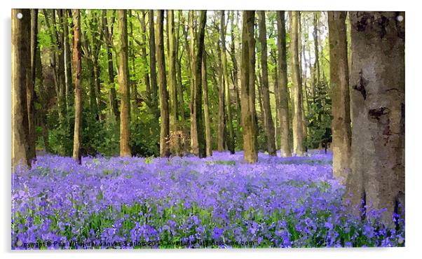 Bluebell wood in texture Acrylic by Paula Palmer canvas