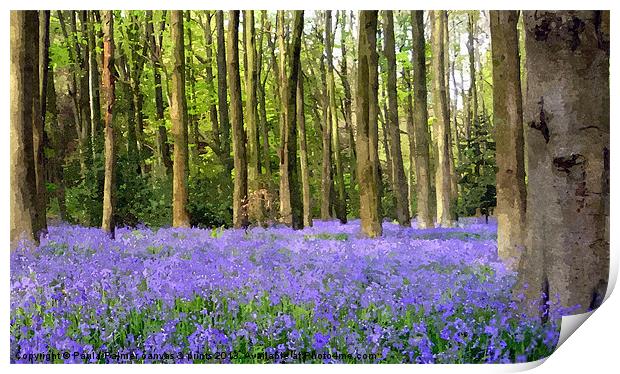Bluebell wood in texture Print by Paula Palmer canvas