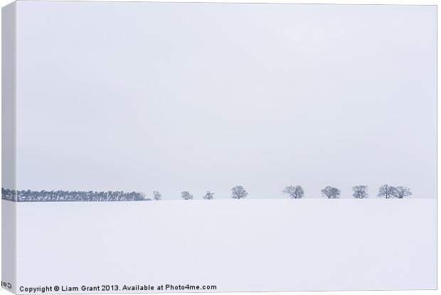 Snow covered field and trees on the horizon. East  Canvas Print by Liam Grant