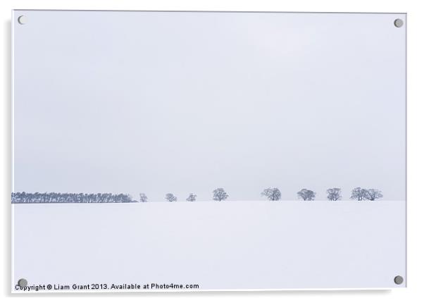 Snow covered field and trees on the horizon. East  Acrylic by Liam Grant