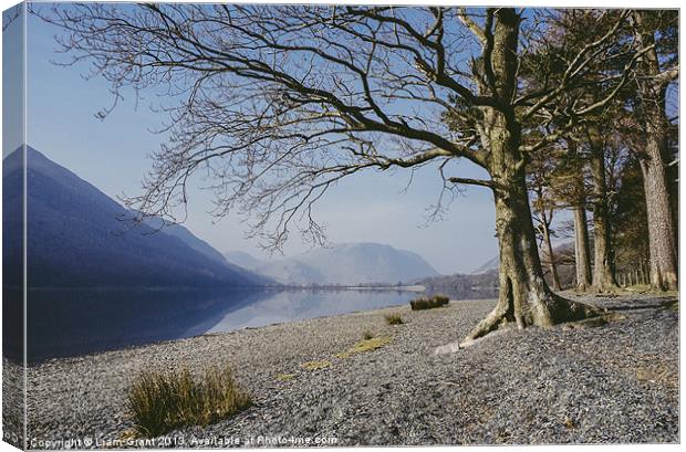 Buttermere reflections and tree on the shore. Lake Canvas Print by Liam Grant