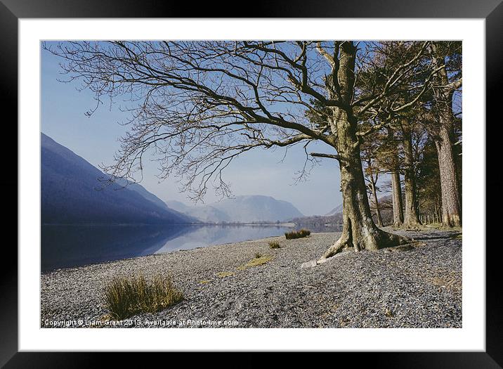 Buttermere reflections and tree on the shore. Lake Framed Mounted Print by Liam Grant