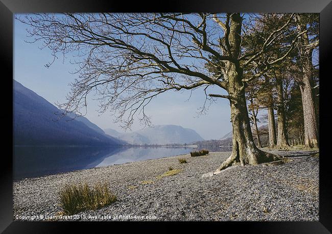 Buttermere reflections and tree on the shore. Lake Framed Print by Liam Grant
