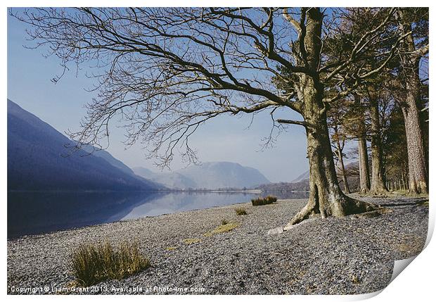 Buttermere reflections and tree on the shore. Lake Print by Liam Grant