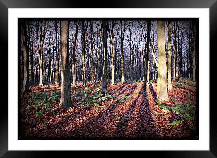 Autumn Carpet Framed Mounted Print by Sandra Thompson