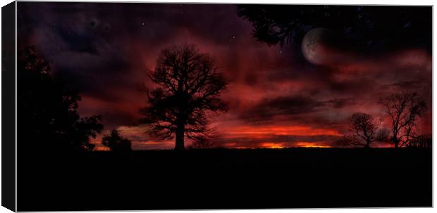Fire in the Sky Canvas Print by Jason Green