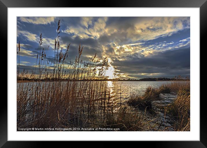 Golden Highlites Framed Mounted Print by mhfore Photography