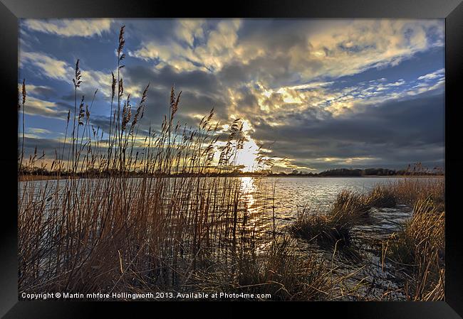 Golden Highlites Framed Print by mhfore Photography