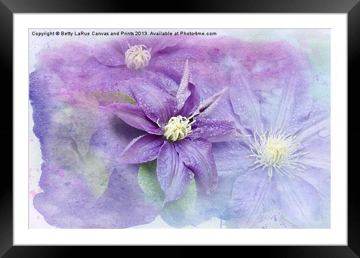 Profusion of Purple Framed Mounted Print by Betty LaRue