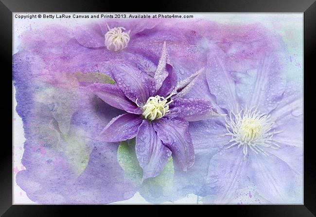 Profusion of Purple Framed Print by Betty LaRue