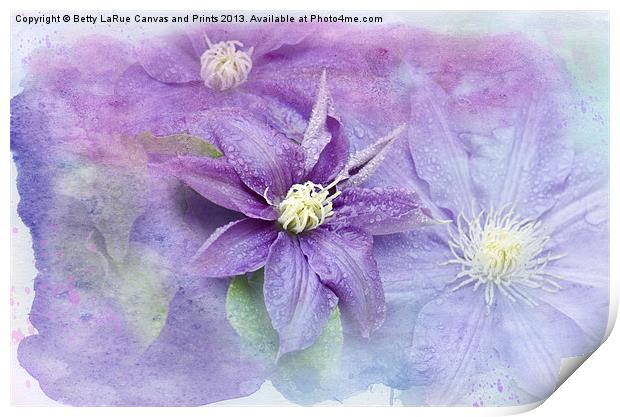 Profusion of Purple Print by Betty LaRue