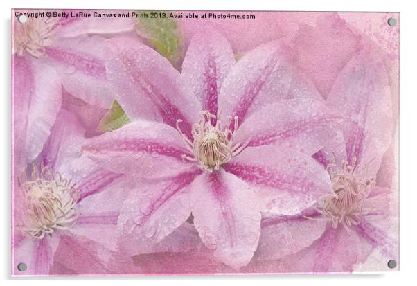 Pink Clematis Profusion Acrylic by Betty LaRue