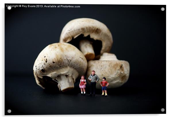 The borrowers and the mushrooms Acrylic by Roy Evans