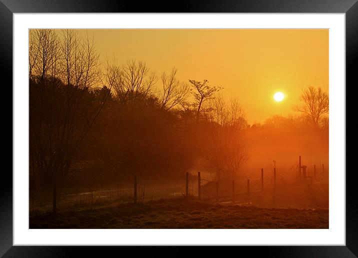 Golden Sun Rise Framed Mounted Print by Mark Lee