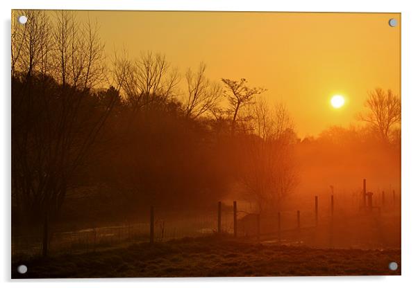 Golden Sun Rise Acrylic by Mark Lee