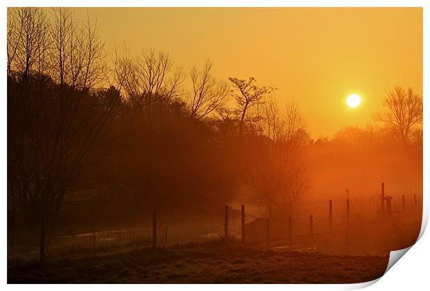Golden Sun Rise Print by Mark Lee