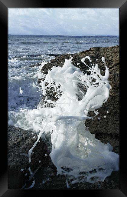 Splash Framed Print by lee wilce