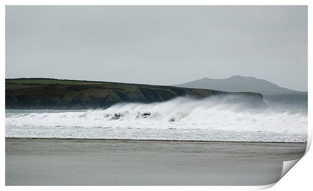 Whitesands Bay Print by lee wilce