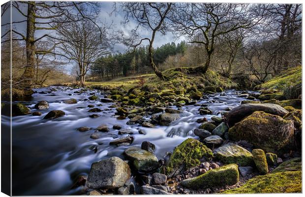 Two River Meeting Canvas Print by nick coombs