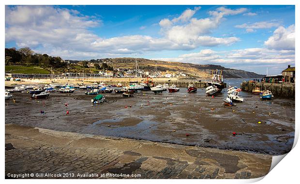 The Cobb, Lyme Regis Print by Gill Allcock