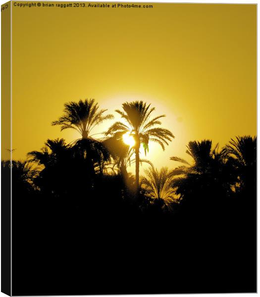 Luxor Nile Sunset Canvas Print by Brian  Raggatt