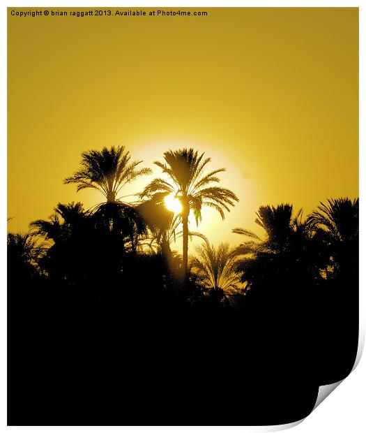 Luxor Nile Sunset Print by Brian  Raggatt