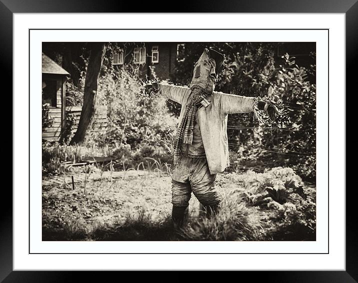 Scarecrow Framed Mounted Print by Tracy Hughes
