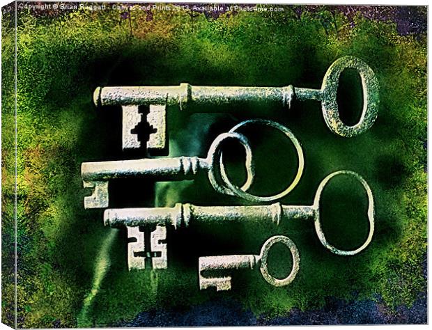 Antique Keys 2 Canvas Print by Brian  Raggatt