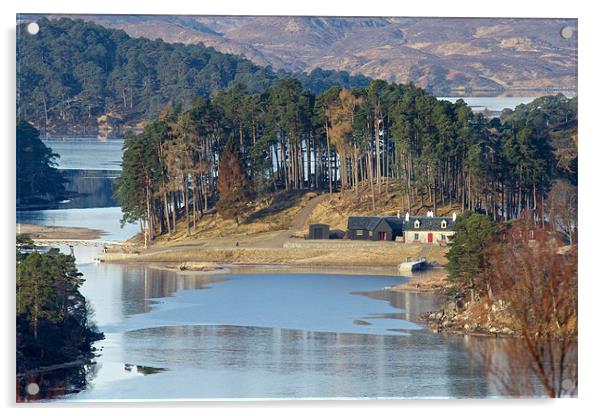 Glen Affric Acrylic by Nigel Atkinson