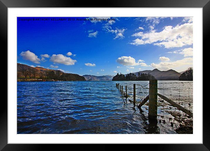 Derwent water Framed Mounted Print by Anthony Kellaway