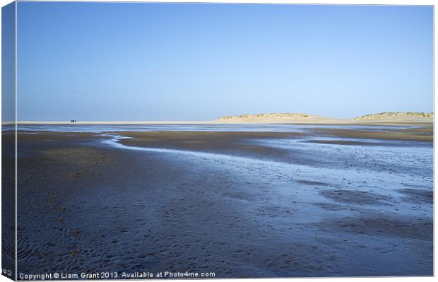 Sand dunes, Wells-next-the-sea, Norfolk, UK in Win Canvas Print by Liam Grant