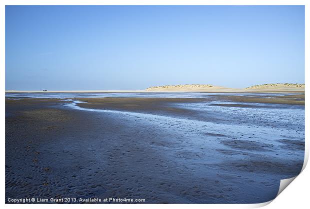 Sand dunes, Wells-next-the-sea, Norfolk, UK in Win Print by Liam Grant