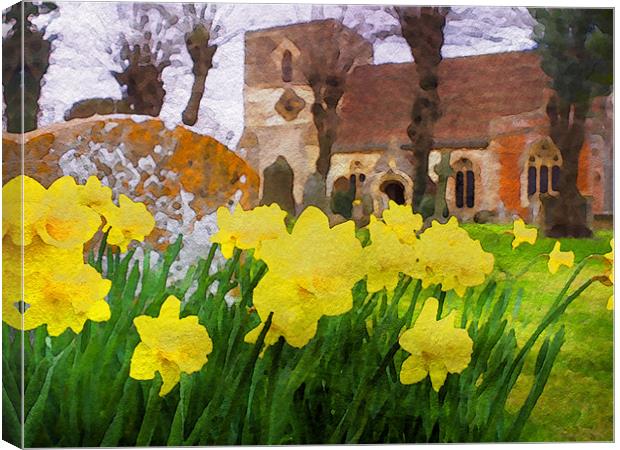 Spring Daffodils Canvas Print by Mark Llewellyn