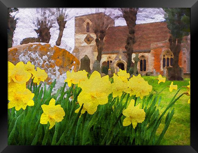 Spring Daffodils Framed Print by Mark Llewellyn
