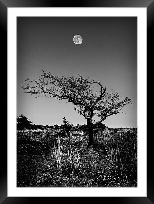 FULL MOON OVER EXMOOR Framed Mounted Print by Anthony R Dudley (LRPS)