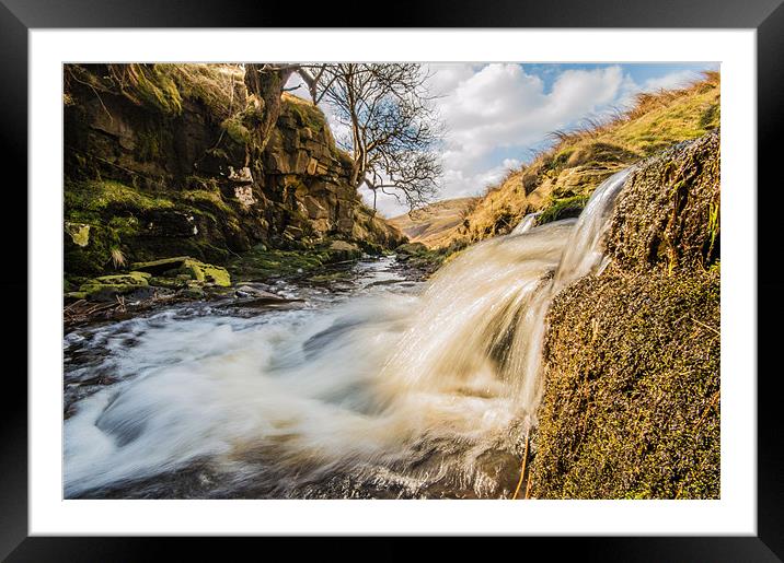 Abbey Brook Framed Mounted Print by Phil Tinkler