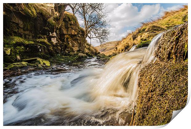 Abbey Brook Print by Phil Tinkler